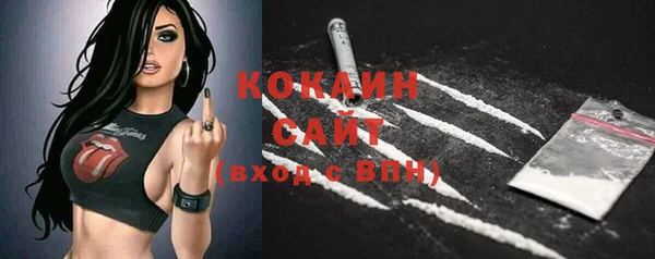 гашик Ладушкин
