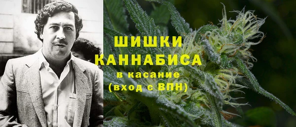 гашик Ладушкин