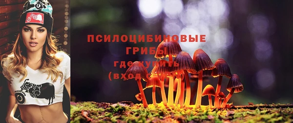 гашик Ладушкин