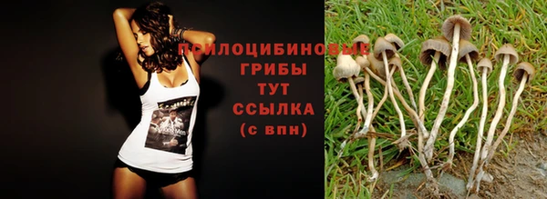 героин Лагань