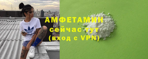 гашик Ладушкин